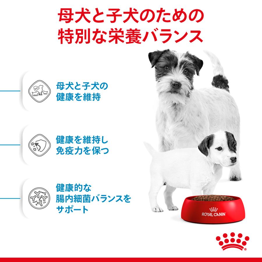 ロイヤルカナン ミニスターター 子犬用 母犬用 10kg www.unaitas.com