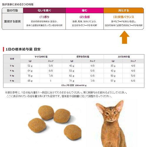 ロイヤルカナン　猫　プロテインエクシジェント　成猫用　４ｋｇ×４袋　３１８２５５０７６７２２４　ジップ付　お一人様１点限り | ロイヤルカナン | 03