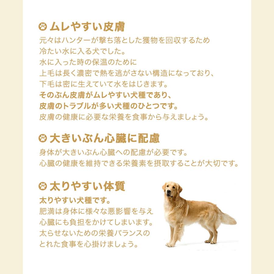 ロイヤルカナン　ゴールデンレトリバー　成犬・高齢犬用　３ｋｇ×４袋　ジップ付　お一人様１点限り｜chanet｜03