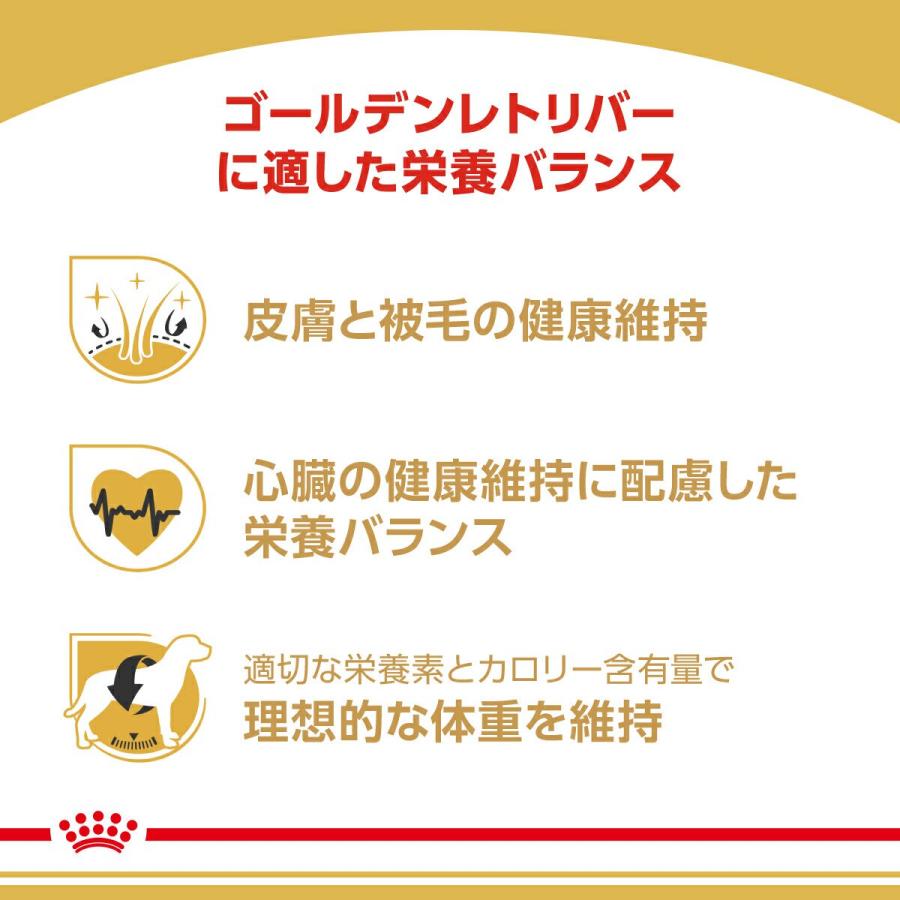ロイヤルカナン（ROYAL CANIN） ゴールデンレトリバー 成犬・高齢犬用