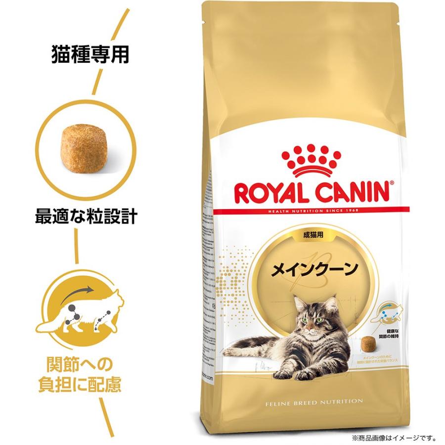 ロイヤルカナン　猫　メインクーン　成猫用　生後１５ヵ月齢から１２歳まで　２ｋｇ×５袋　ジップ付（キャットフード　ドライ） | ロイヤルカナン | 04