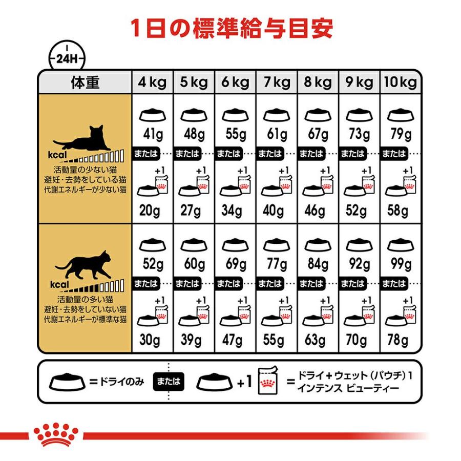 ロイヤルカナン　猫　メインクーン　成猫用　生後１５ヵ月齢から１２歳まで　２ｋｇ×５袋　ジップ付（キャットフード　ドライ） | ロイヤルカナン | 08