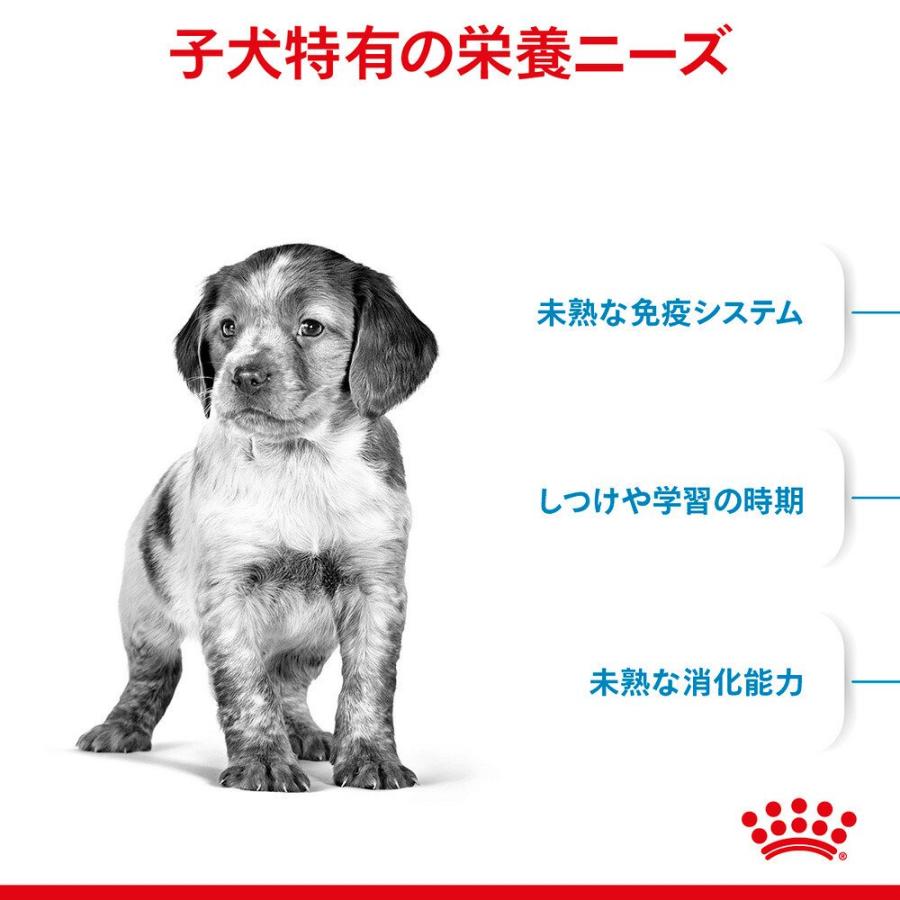 ロイヤルカナン　ミディアム　パピー　子犬用　４ｋｇ×４　３１８２５５０７０８１８０　ジップ付　お一人様１点限り | ロイヤルカナン | 02