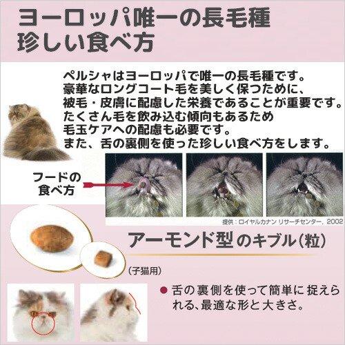 ロイヤルカナン ロイヤルカナン 猫 ペルシャ・チンチラ ロイヤルカナン ロイヤルカナン 猫 ペルシャ・チンチラ