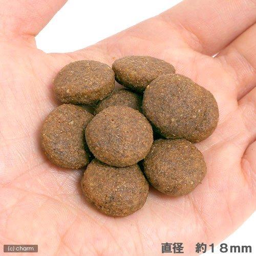 ロイヤルカナン　マキシ　アダルト　成犬用　４ｋｇ×４　３１８２５５０４０２２２４　ジップ付　お一人様１点限り | ロイヤルカナン | 06