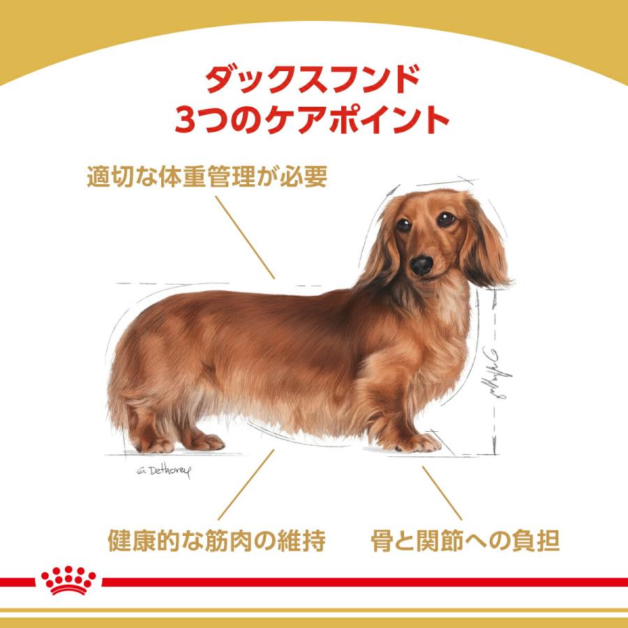 ロイヤルカナン　ダックスフンド　成犬用　７．５ｋｇ　３１８２５５０８１２０１６　ジップ付　お一人様５点限り｜chanet｜02