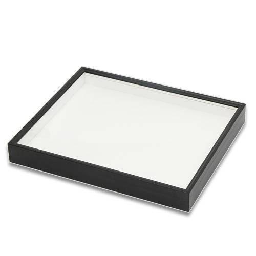 無料長期保証 特製ドイツ型標本箱 志賀昆虫 大型 昆虫 標本 標本箱 沖縄別途送料 新品即決 Nicmosul Org