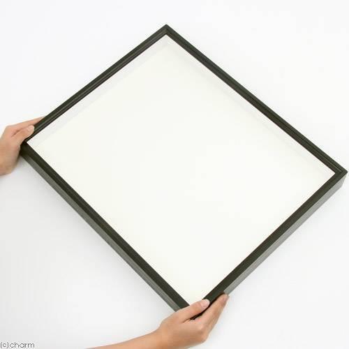 特製ドイツ型標本箱 志賀昆虫 大型 昆虫 標本 標本箱 木製 昆虫 標本箱