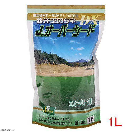 ｊガーデングラスｄｘ エバーグリーン用 ｊオーバーシート 西洋芝の種 １ｌ袋入り 約１０平方メートル 家庭菜園