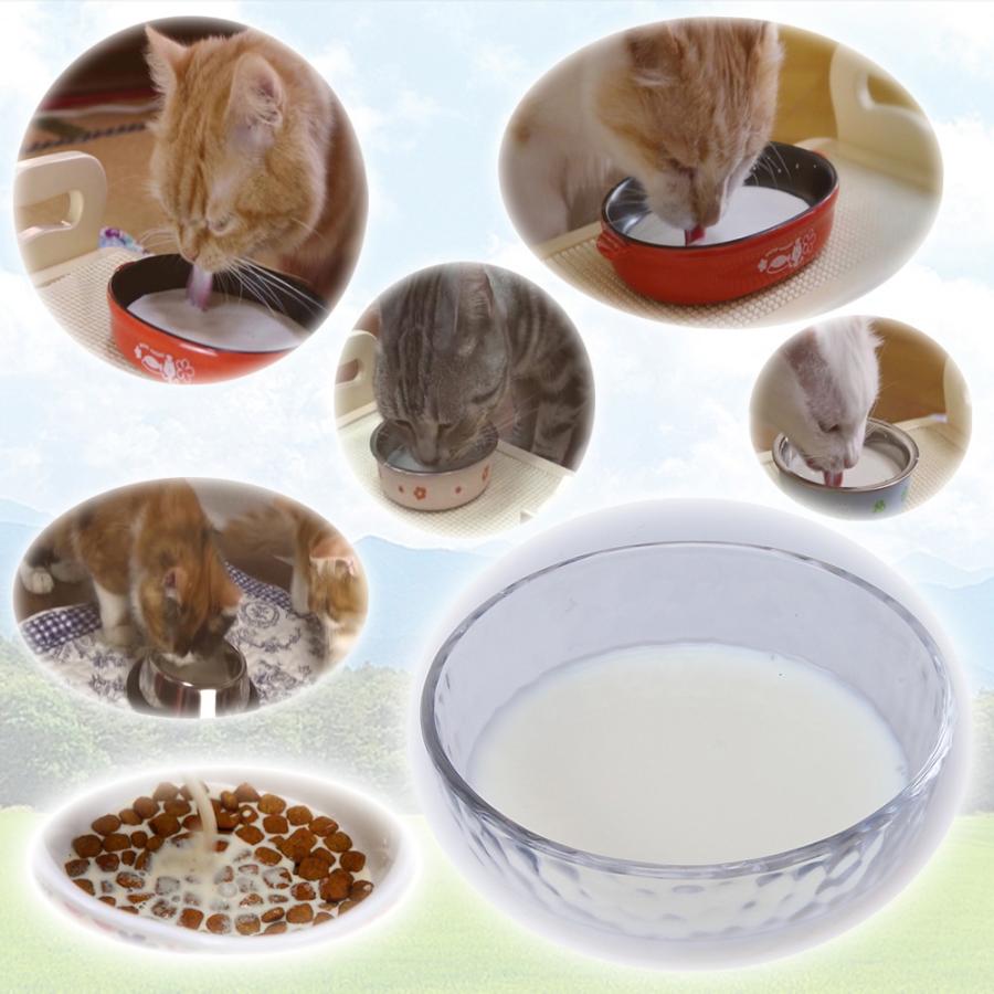 キャティーマン キャティーマン ねこちゃんの国産牛乳 200ml×24