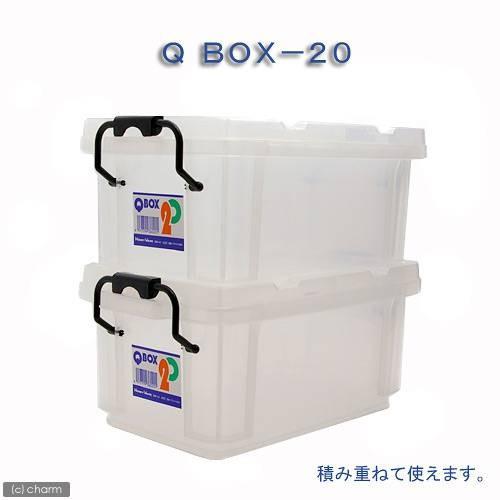 QBOX−20 （290×170×130mm） 10個 クワガタ