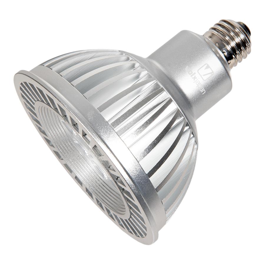 volxjapan（ボルクスジャパン） Grassy LeDio RX122