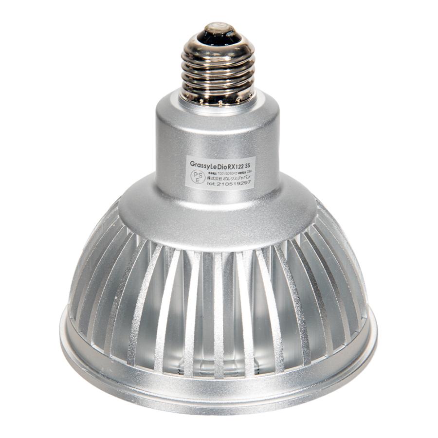 volxjapan（ボルクスジャパン） Grassy LeDio RX122