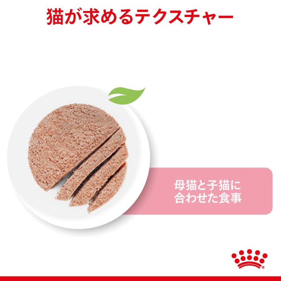 ロイヤルカナン　子猫　マザー＆ベビーキャット　離乳期〜４ヶ月齢　１００ｇ×１２個　９３３４２１４０２９９８６　お一人様２点限り | ロイヤルカナン | 02
