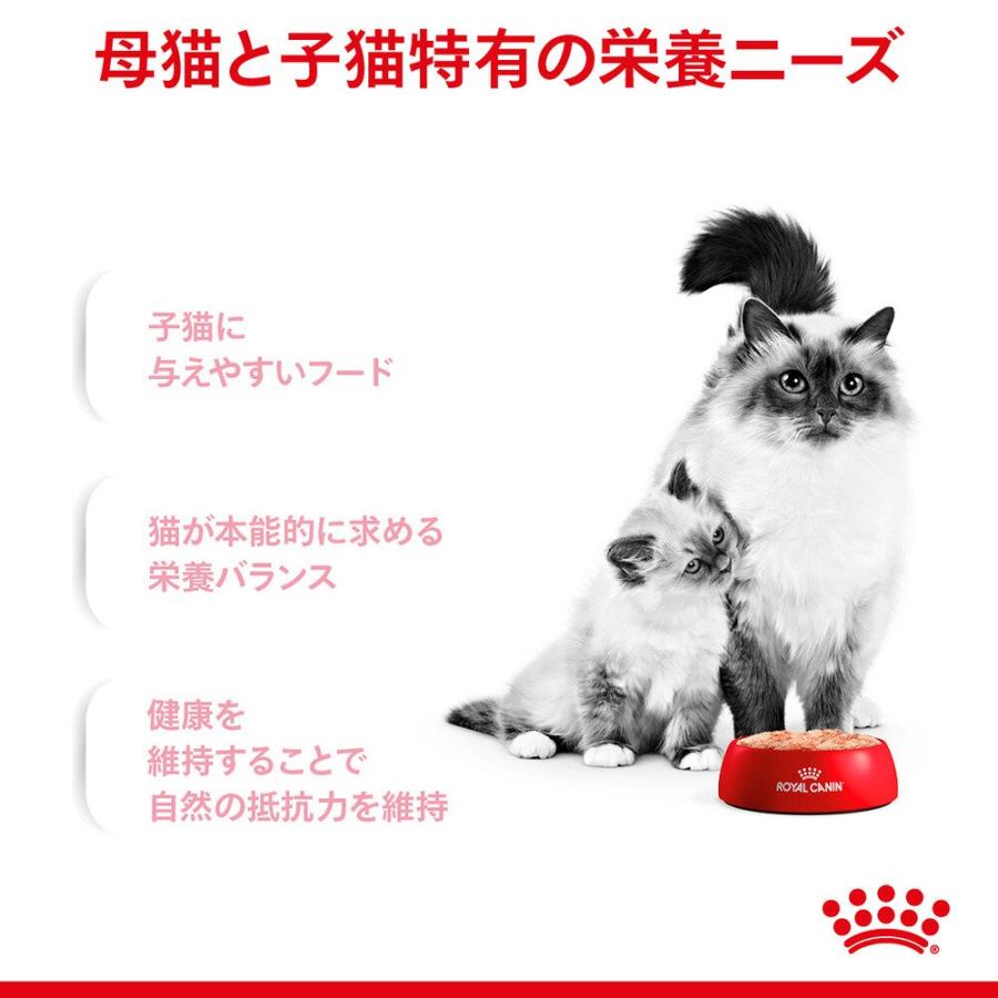 ロイヤルカナン　子猫　マザー＆ベビーキャット　離乳期〜４ヶ月齢　１００ｇ×１２個　９３３４２１４０２９９８６　お一人様２点限り | ロイヤルカナン | 03