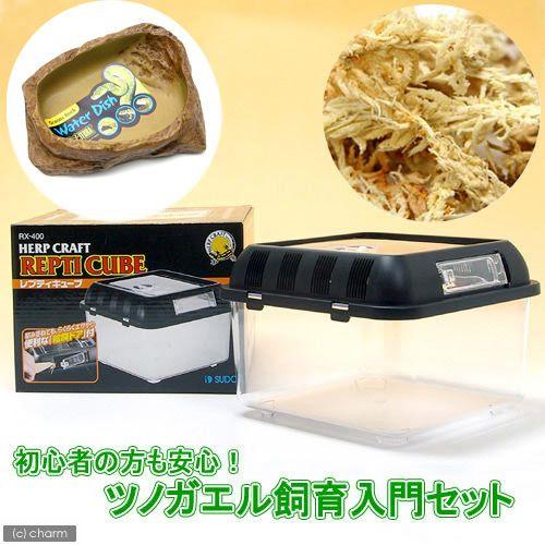 陶器製容器付き飼育ケージ　セット チャーム（charm） ツノガエル飼育入門セット 水苔ver．（器具のみ