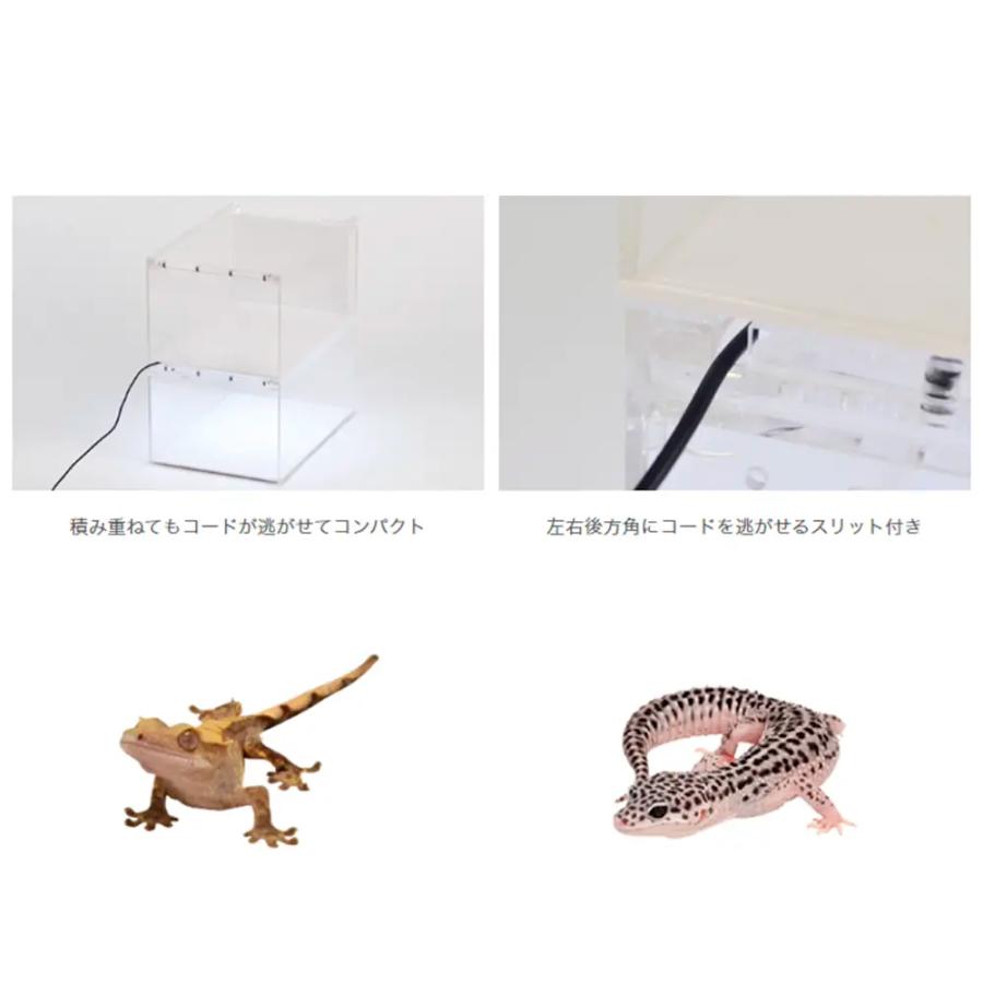 三晃商会 爬虫類ケージ レプタイルボックス 爬虫類 ケージ 飼育ケース