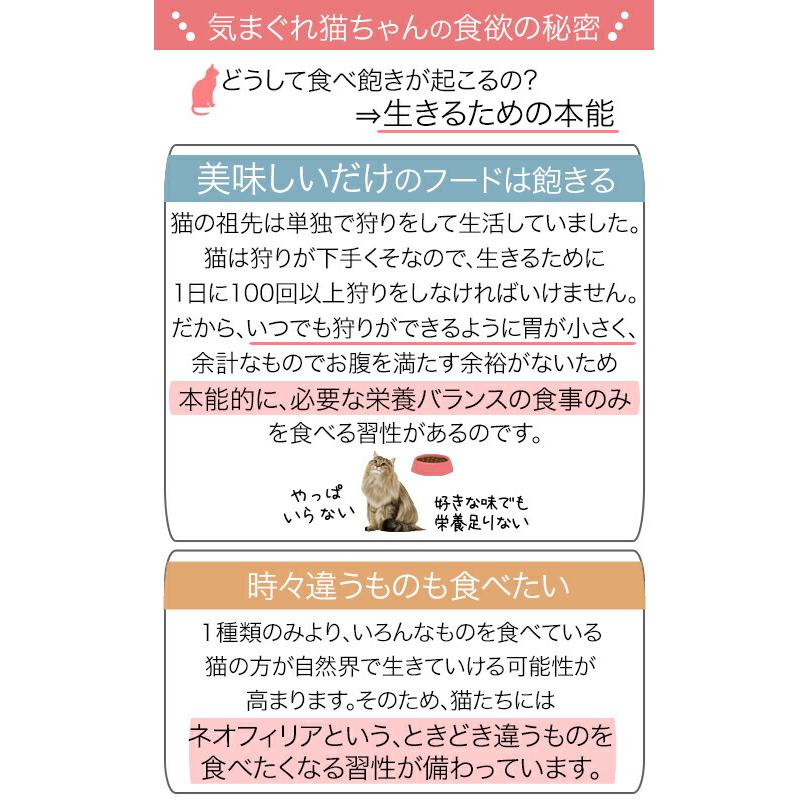 ロイヤルカナン　猫　成猫用　食べ比べセット　３種各１２袋　計３６袋　お一人様５点限り｜chanet｜02