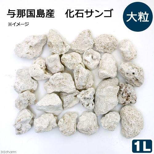 Leaf Corp 与那国島産 化石サンゴ 1L 大粒タイプ カルシウム
