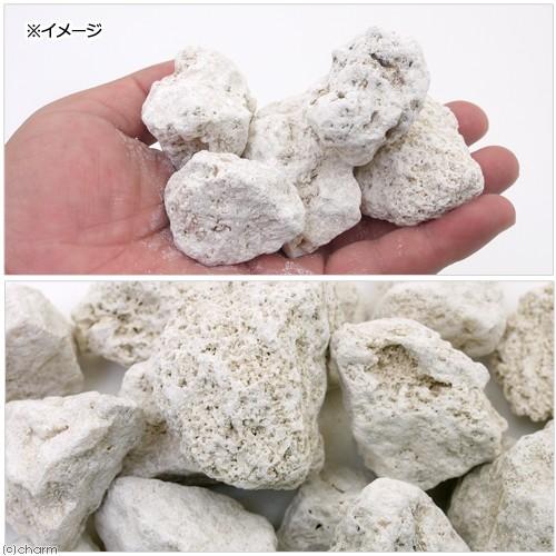 Leaf Corp 与那国島産 化石サンゴ 1L 大粒タイプ カルシウム