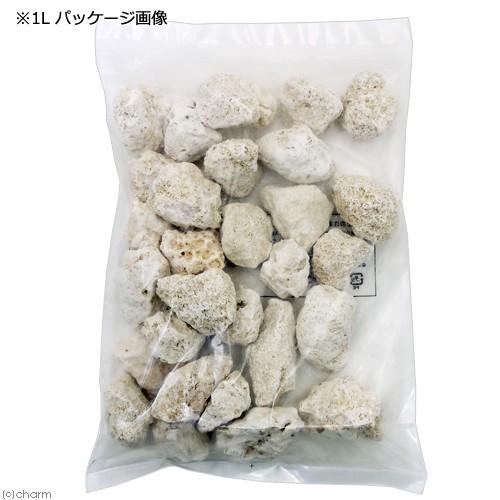 Leaf Corp 与那国島産 化石サンゴ 1L 大粒タイプ カルシウム