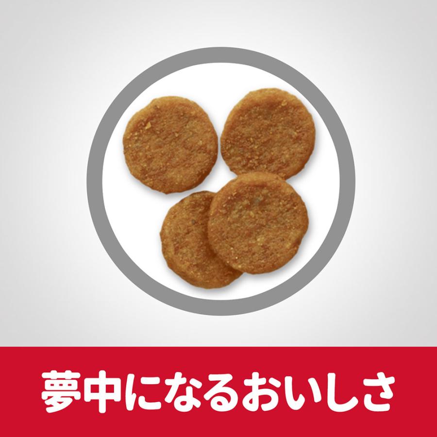 ドッグフード　サイエンスダイエット　アダルト　１歳〜６歳　中粒　成犬用　チキン　３．３ｋｇ×２袋　ヒルズ　犬 | サイエンス・ダイエット | 06