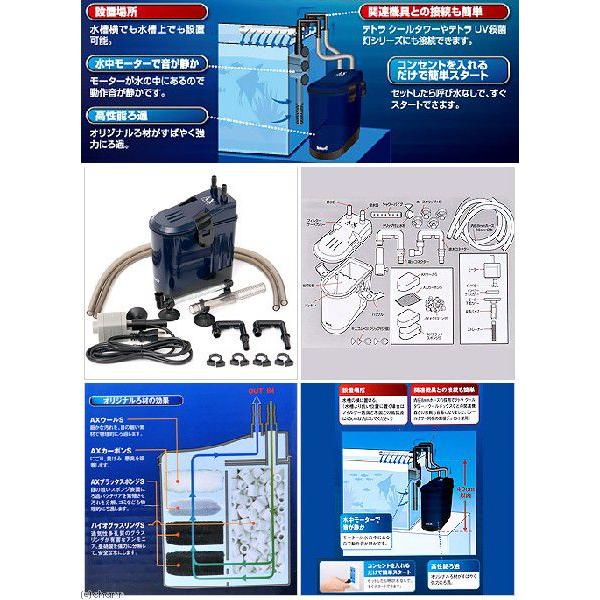 新色 テトラ バリューａｘパワーフィルター ｖａｘ ３０ 水槽用外部フィルター3 580円 Aynaelda Com