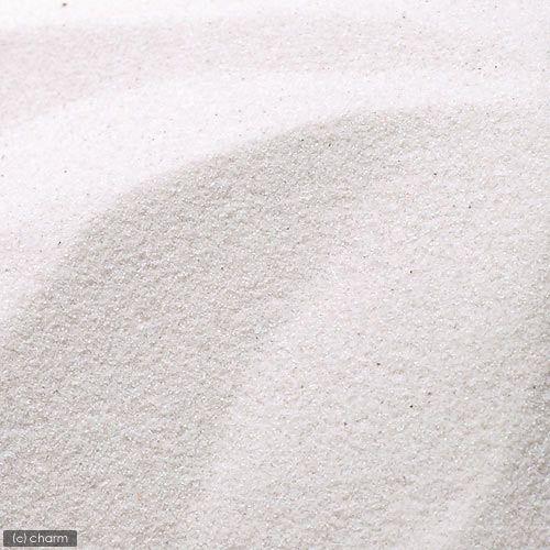 ｎｏ ２８ ｗｈｉｔｅ ホワイト ９リットル ６０ｃｍ水槽用 お一人様１点限り チャーム Charm ヤフー店 通販 Yahoo ショッピング