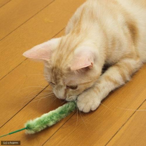 じゃれ猫 猫じゃらし キャティーマン じゃれ猫 猫のお遊び草×20本 猫