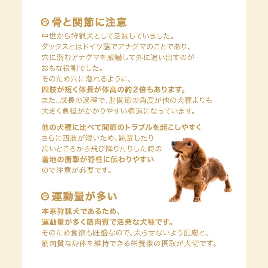 ロイヤルカナン ダックスフンド 中・高齢犬用 800g 3182550824507 ジップ付 お一人様5点限り :184690:チャーム charm ヤフー店 - 通販 - Yahoo!ショッピング ロイヤルカナン ダックスフンド 中・高齢犬用 800g 3182550824507 ジップ付 お一人様5点限り :184690:チャーム charm ヤフー店 - 通販 - Yahoo!ショッピング