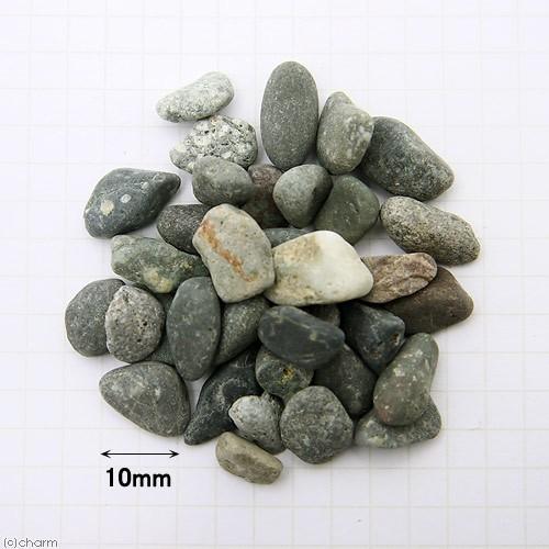 Leaf Corp 底砂 No．92 大磯砂 ラージ 1リットル（約1．7kg