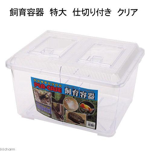 ガラス・プラスチック飼育ケースセット 10个 プラケース 飼育容器 特大 クリア 仕切り付き 仕切りスライド式 （幅