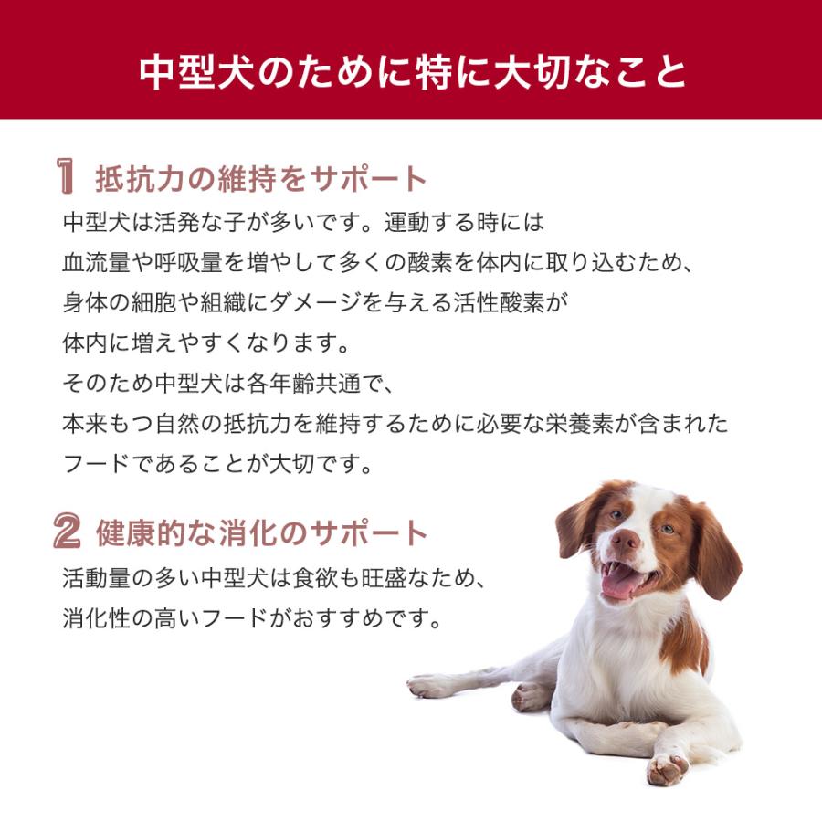 ロイヤルカナン　ミディアム　エイジング　１０＋　高齢犬用　１５ｋｇ　3182550802758　お一人様１点限り　ジップ無し｜chanet｜04