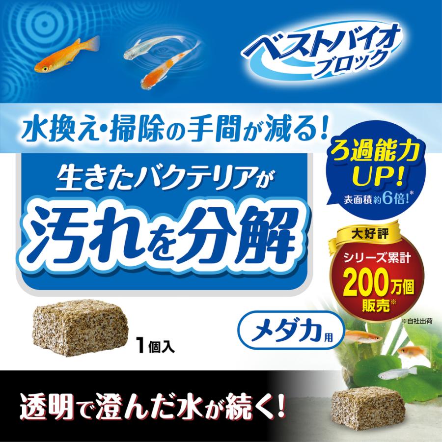 GEX（ジェックス） ベストバイオブロック メダカ用 メダカ バクテリア