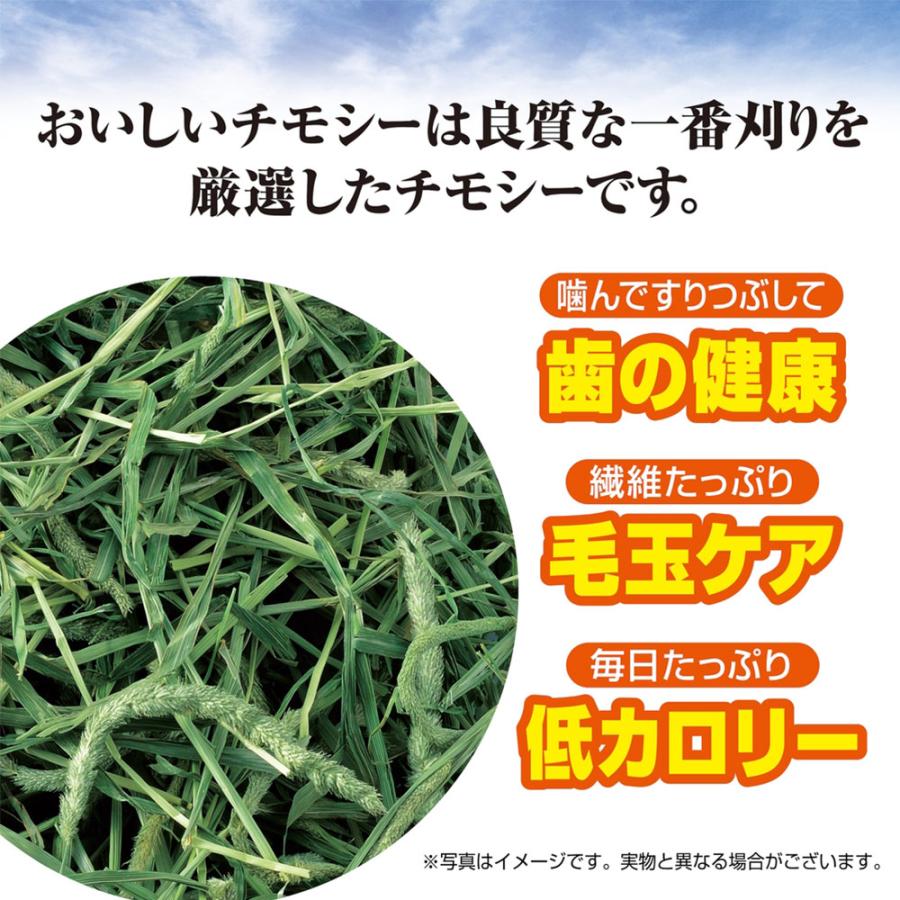 GEX（ジェックス） 毎日食べるおいしいチモシー 650g うさぎ