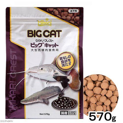 キョーリン　ひかりクレスト　ビッグキャット　５７０ｇ　大型魚　アロワナ　餌　エサ　えさ　お一人様１２点限り｜chanet