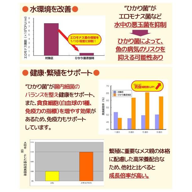 キョーリン　メダカプロス　４８ｇ　メダカの餌　浮上性　善玉菌配合　お一人様６０点限り｜chanet｜03