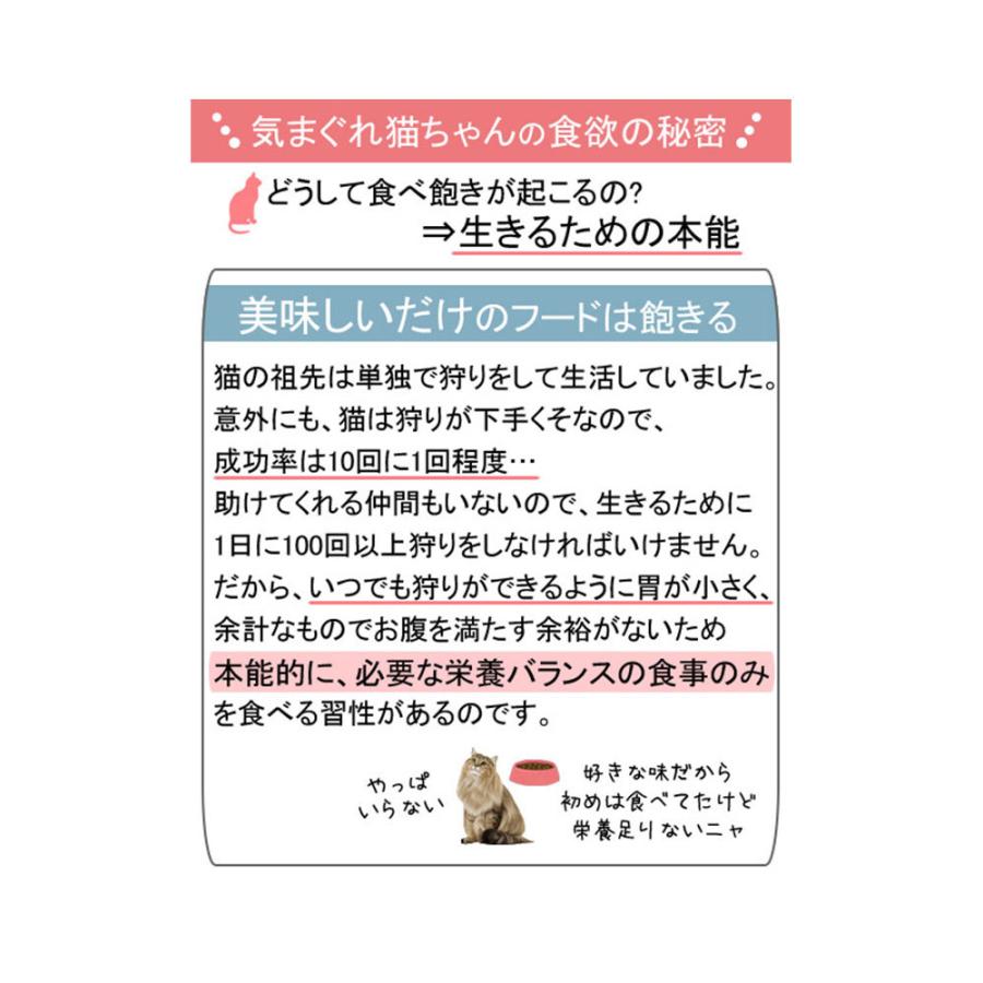 ロイヤルカナン 猫 ライトウェイトケア 減量したい成猫用 85g×48袋 ウェット FHN−WET 9003579308769 沖縄別途送料 :188071:チャーム charm ヤフー店 - 通販 - Yahoo!ショッピング ロイヤルカナン 猫 ライトウェイトケア 減量したい成猫用 85g×48袋 ウェット FHN−WET 9003579308769 沖縄別途送料 :188071:チャーム charm ヤフー店 - 通販 - Yahoo!ショッピング