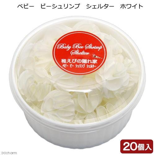 お買い得品 ベビー ビーシュリンプ シェルター ２０個入り ホワイト 稚エビの隠れ家524円