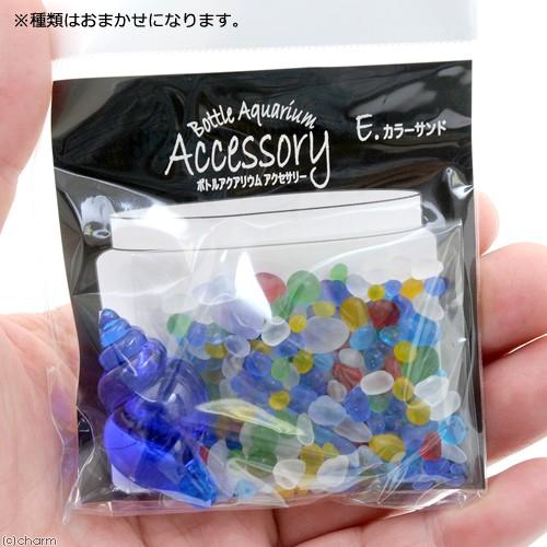 かっこよいツートーンカラー蝕像アクアマリンG/2個セット/オマケ付き ボトルアクアリウム マリン 2 アクセサリー カラーサンド 種類