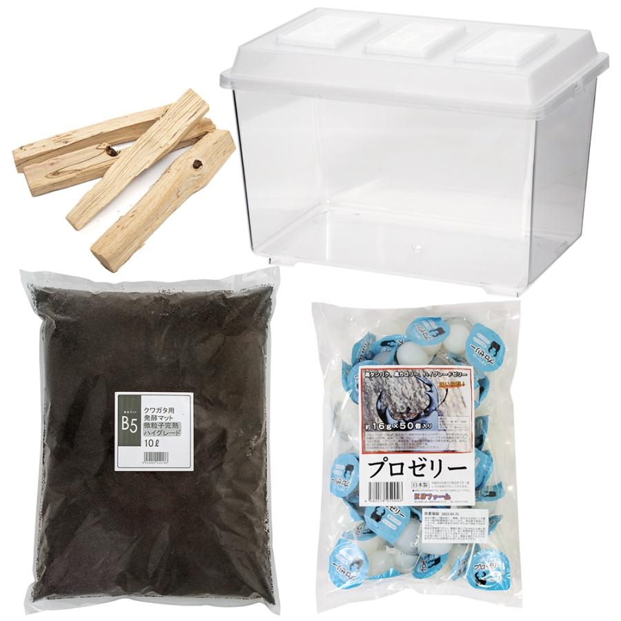 ミヤマ ツヤクワガタ産卵飼育セット クワガタ 飼育セット 器具のみのセット Segurosaurora Com