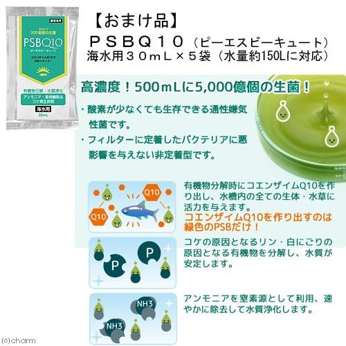 をプロフェ エーハイム チャーム Charm Paypayモール店 通販 Paypayモール プロフェッショナル３ｅ ２０７６専用 メック サブストラットプロレギュラー ｐｓｂｑ１０海水用付き 沖縄別途送料 バケツと