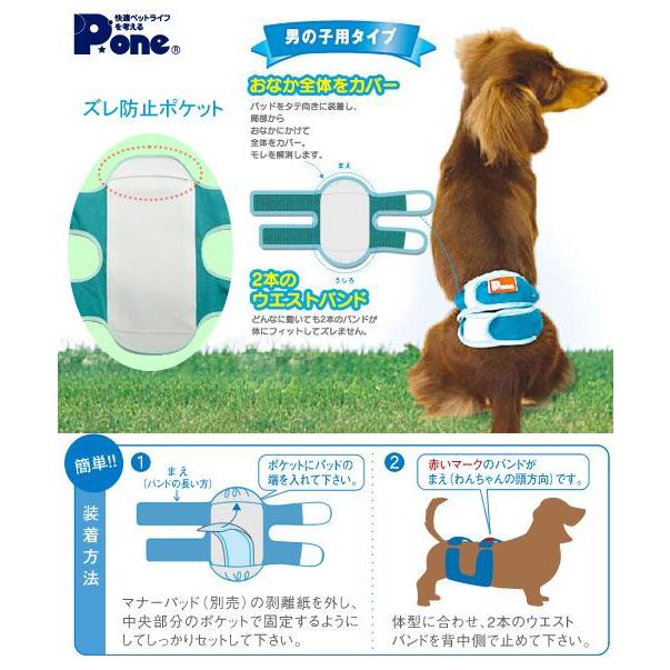 国産 男の子のためのマナーホルダー ３ｌ 犬 マーキング防止 おもらし ペット チャーム Charm Paypayモール店 通販 Paypayモール