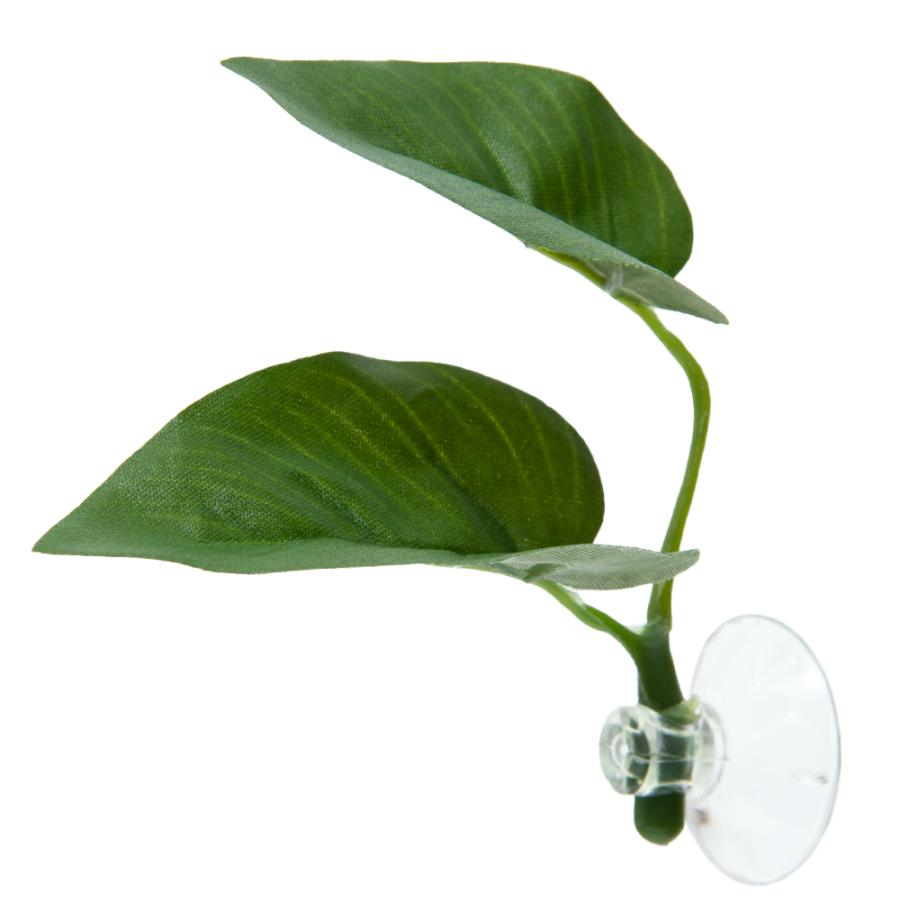 訳あり 水作 ベタのおやすみリーフ ベタ 人工水草 隠れ家 Aynaelda Com