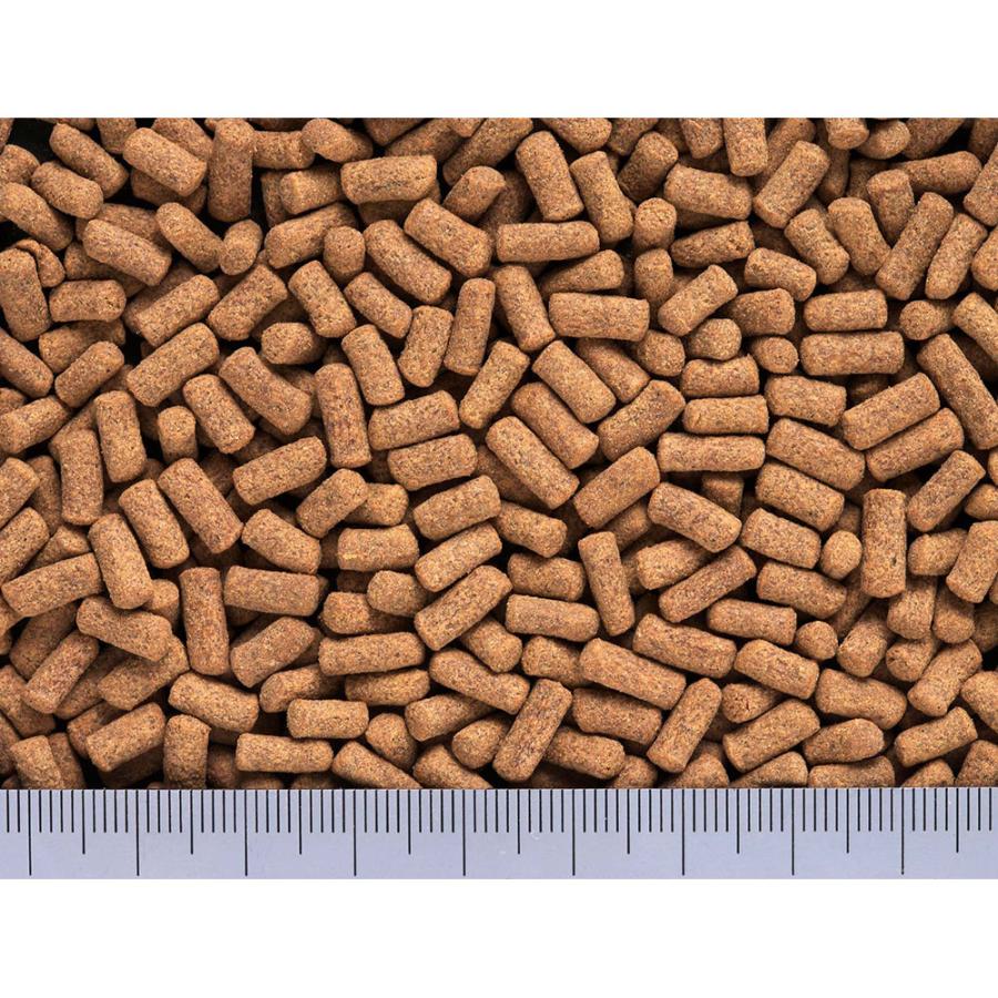 キョーリン　カメプロス　沈下性　３９０ｇ（大スティック　甲長８ｃｍ以上用）　餌　水棲カメ用　ニオイ・汚れ防止　お一人様３０点限り |  | 02