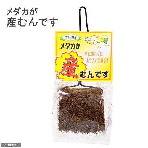 ソネケミファ　産むんです　メダカ用 | 