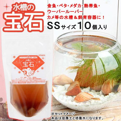 Leaf Corp 水槽の宝石 SSサイズ 10個入り バクテリア 積層石