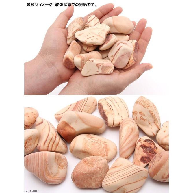 水槽の宝石　Ｍサイズ　２個入り　バクテリア　積層石　ベタ　メダカ　金魚 | Leaf Corp | 02