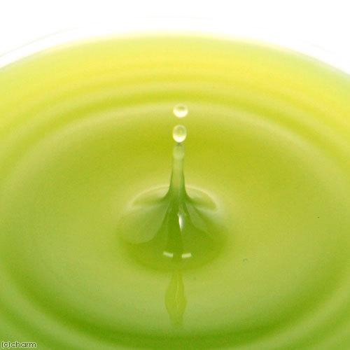 ＰＳＢＱ１０　ピーエスビーキュート　淡水用　５００ｍＬ　メダカ　金魚　熱帯魚　光合成細菌　バクテリア | Leaf Corp | 01