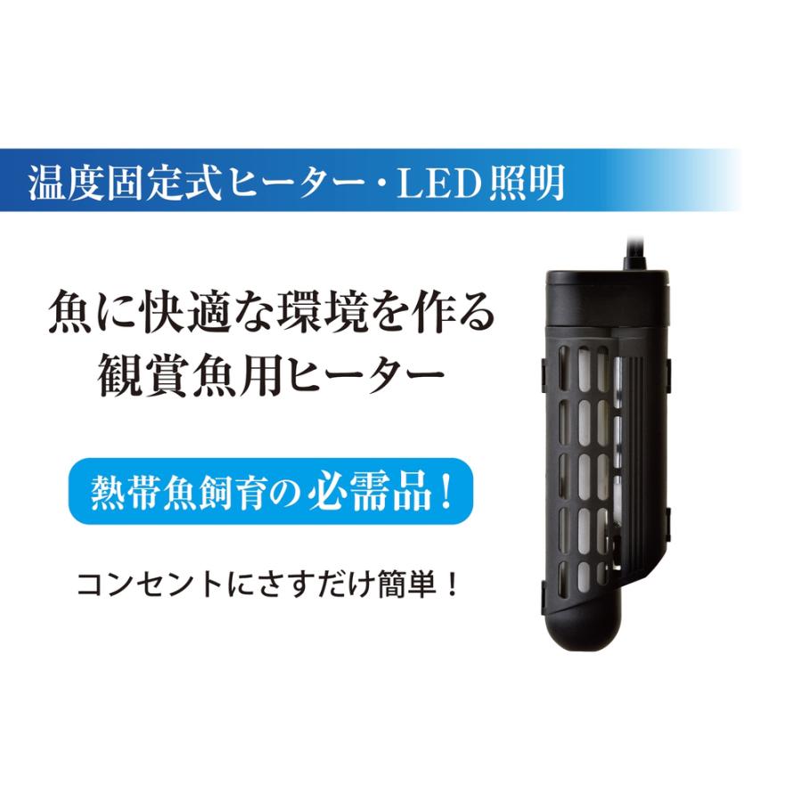 新古品　オールガラス60cm水槽とLEDライトセット ラピレス GEX ラピレスRV60DT LEDセット 60cm水槽